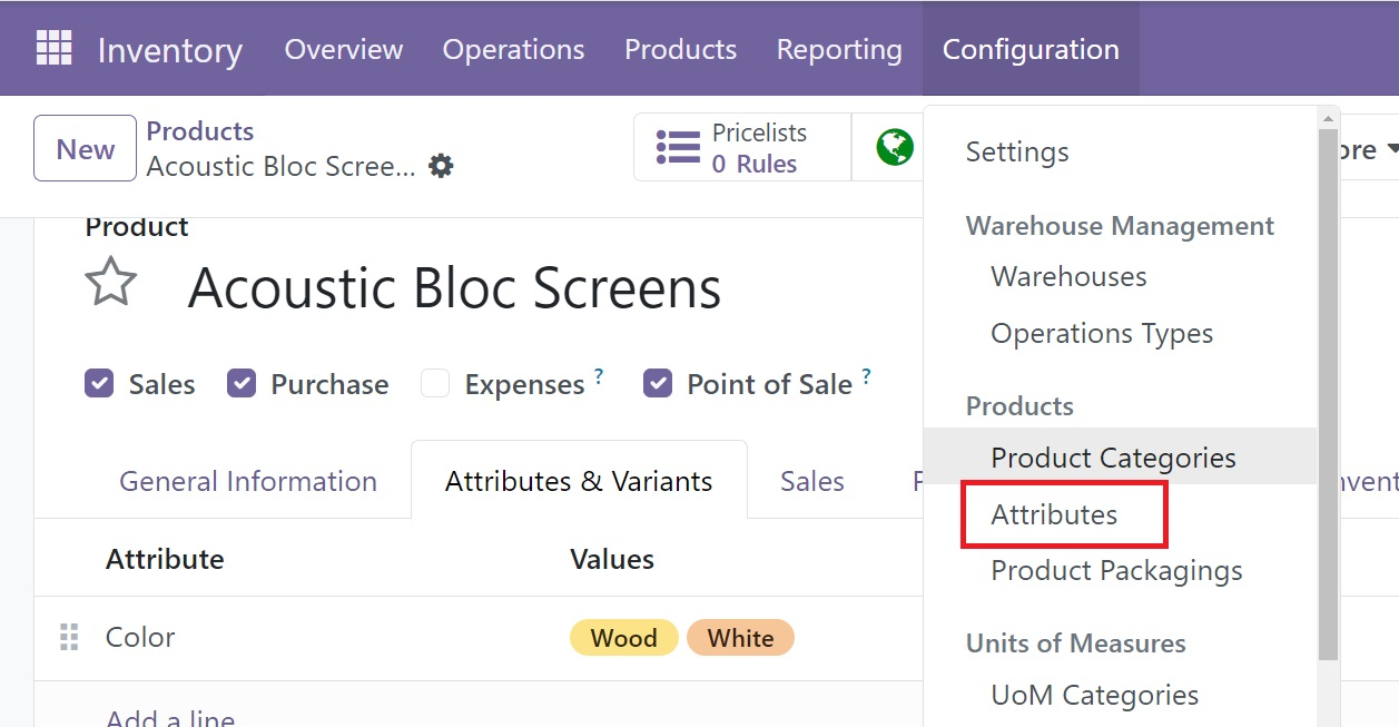 Odoo 18 Project