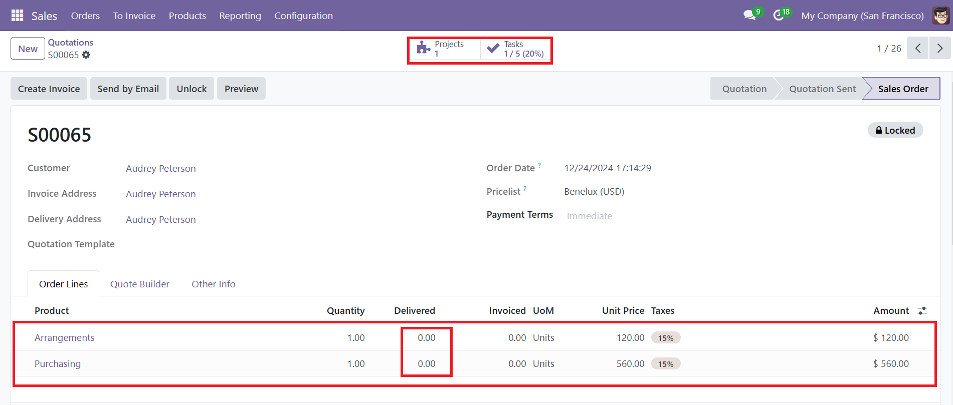 Odoo 18 Project