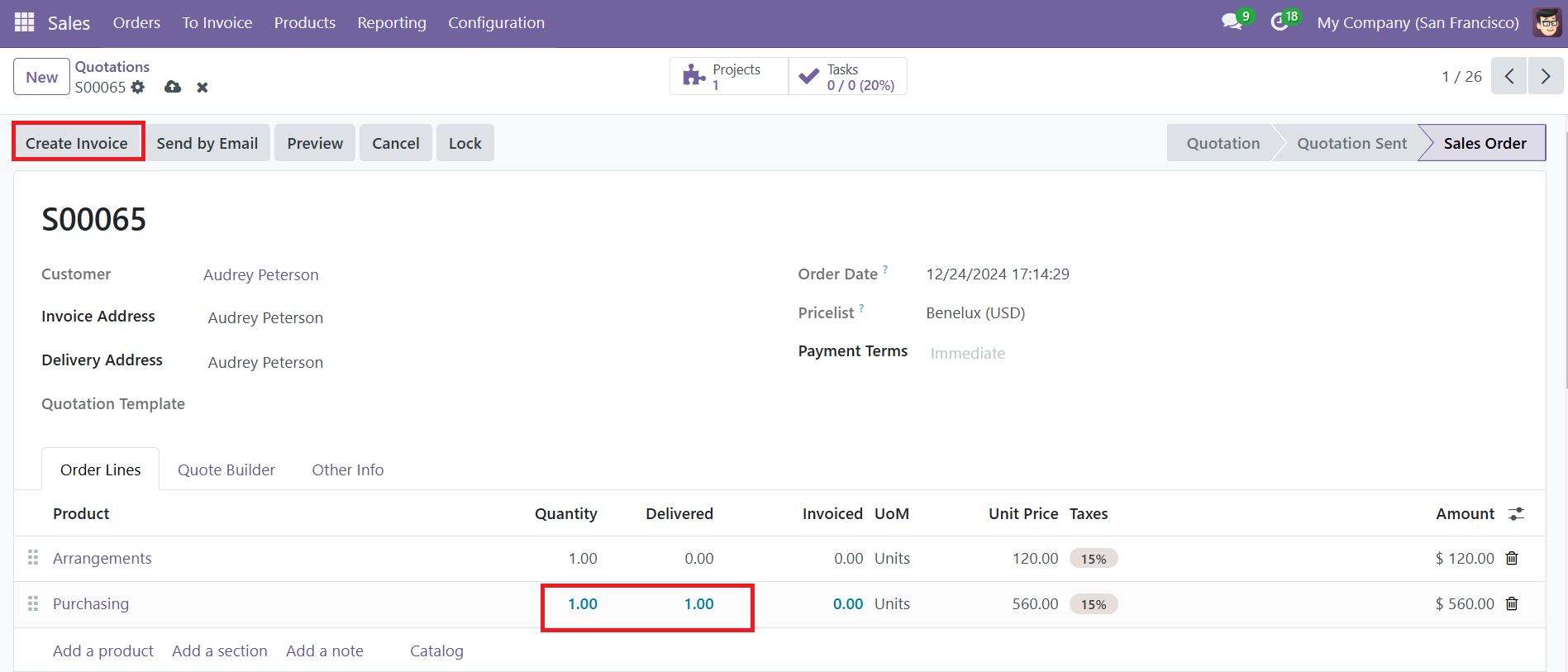 Odoo 18 Project
