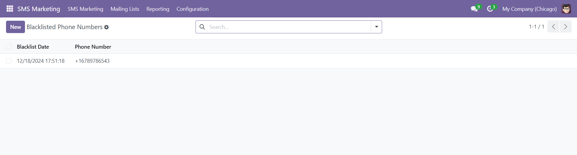 Odoo 18 Project